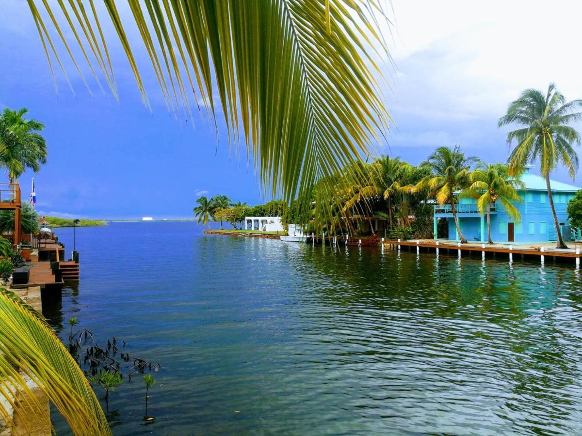 Dolce Cabana Waterfront Suites Placencia Exterior photo